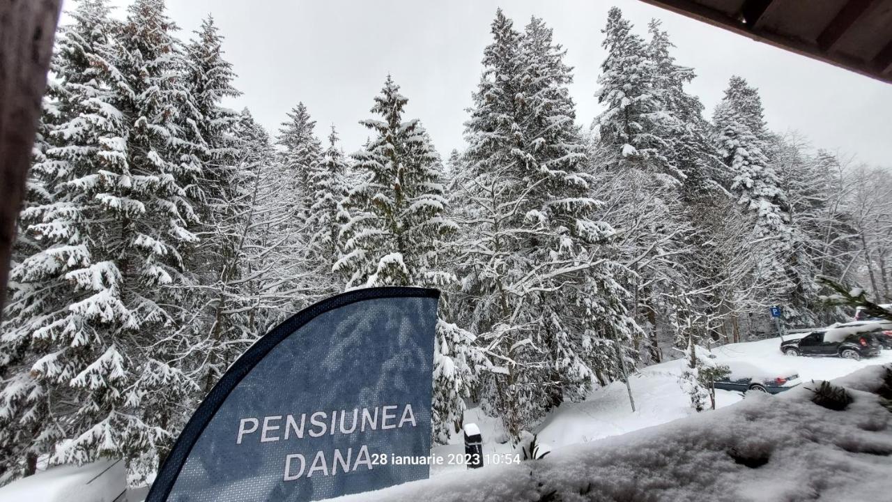 Pensiunea Dana Predeal Exterior photo